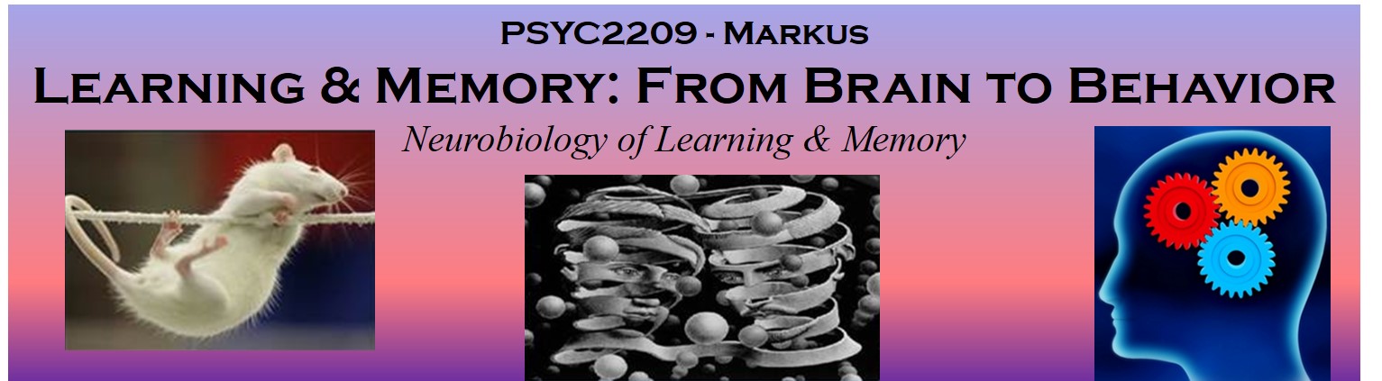 Neurobiology of Learning Class Banner